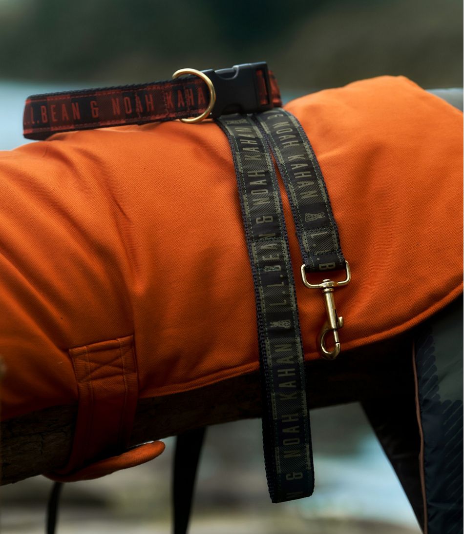 L.L.Bean & Noah Kahan Novelty Dog Collar NEW|OUTDOOR EQUIPMENT|HOME GOODS|SALE